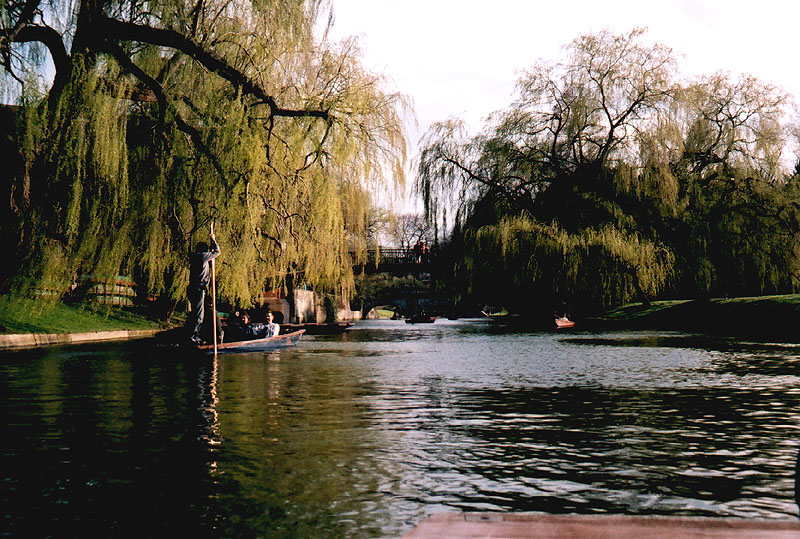 Image 5 of 16  -  142 kB